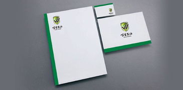 成都VI設(shè)計(jì)公司 打造專(zhuān)業(yè)企業(yè)形象，助力品牌騰飛